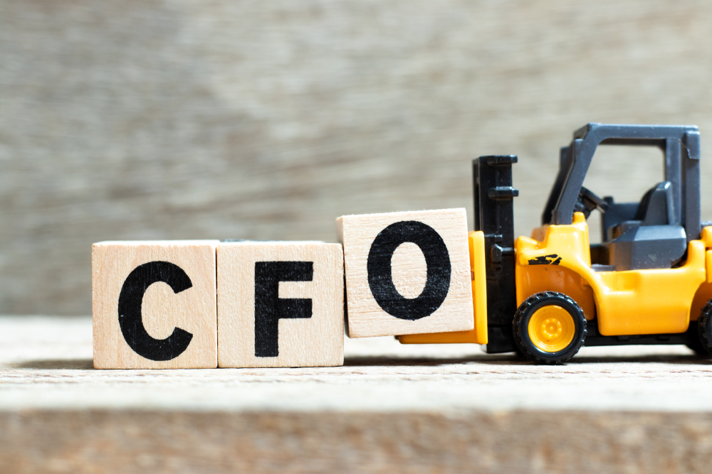 What Are Fractional CFO Services?