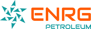 enrglogowebretinsa